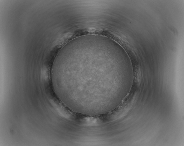 X0000112100272200908041517