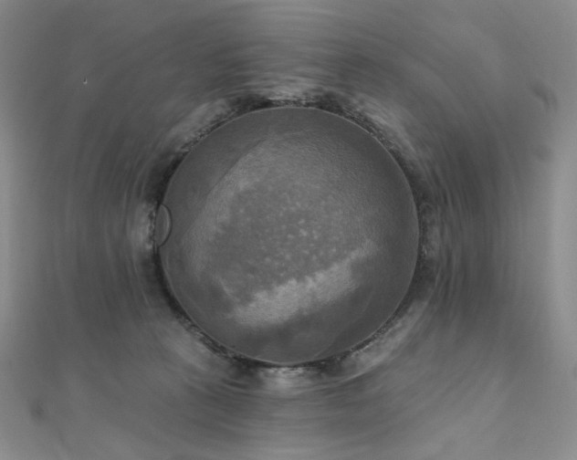X0000112100273200908041517