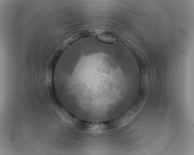 X0000112100274200908041517
