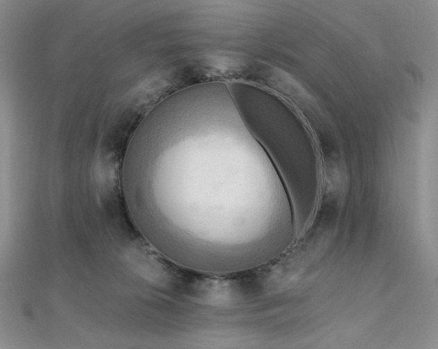 X0000112100276200908041517