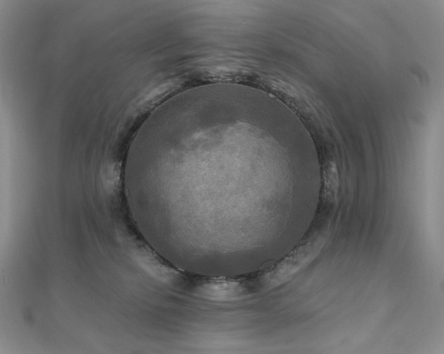 X0000112100278200908041517
