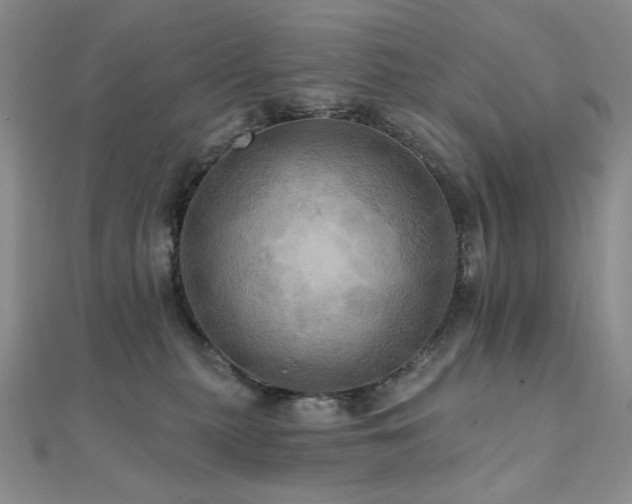 X0000112100279200908041517