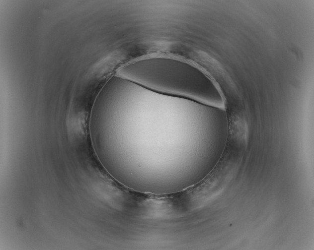 X0000112100280200908041517