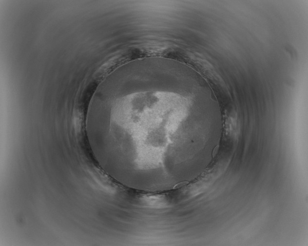 X0000112100283200908041517