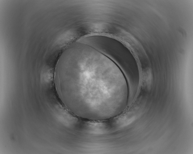 X0000112100284200908041517