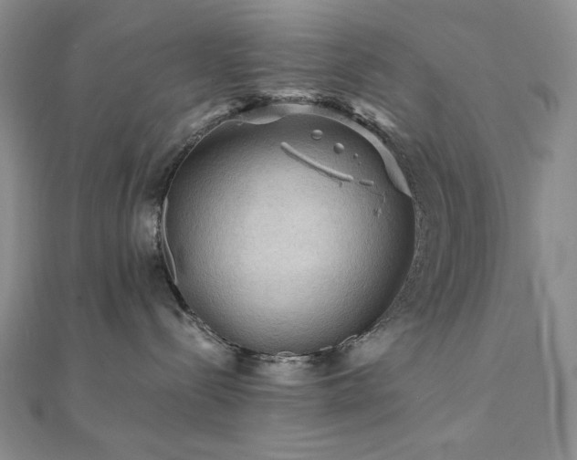X0000112100288200908041517