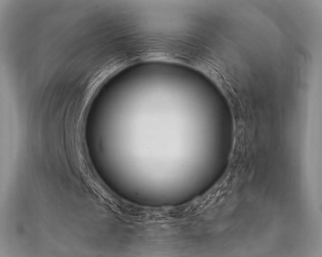 X0000112100289200908041517