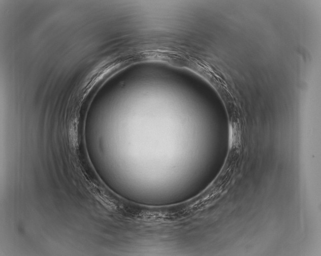 X0000112100291200908041517