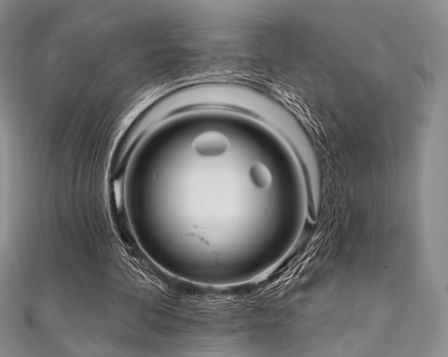 X0000112100292200908041517