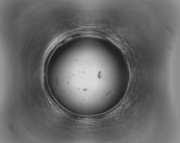 X0000112100293200908041517