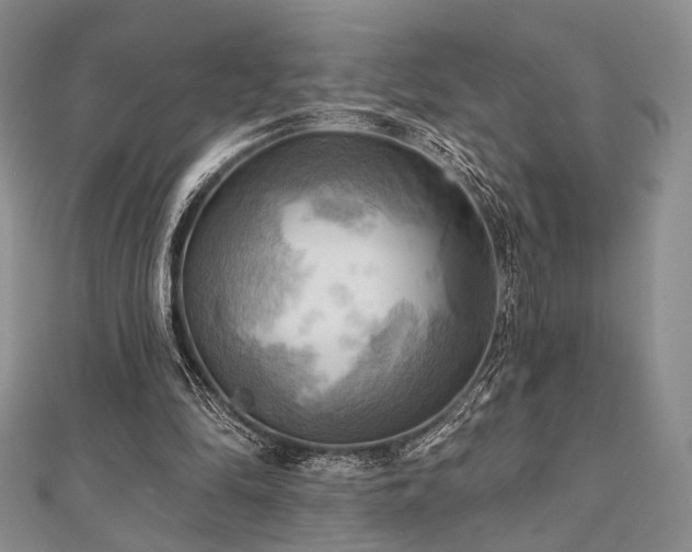 X0000112100294200908041517