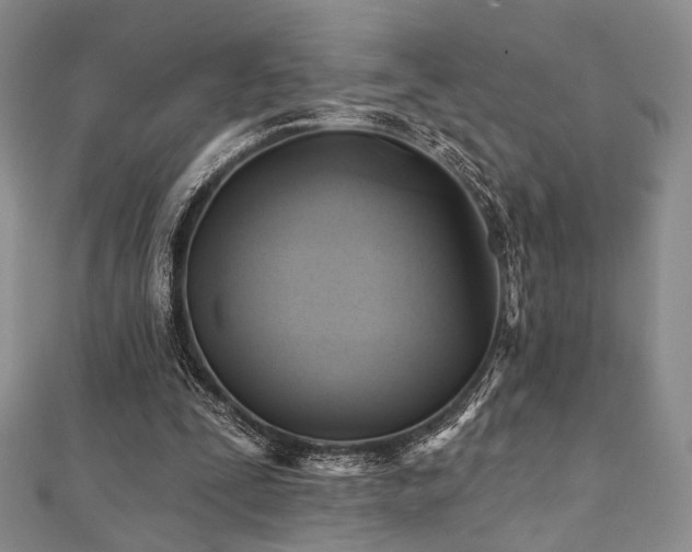 X0000112100295200908041517