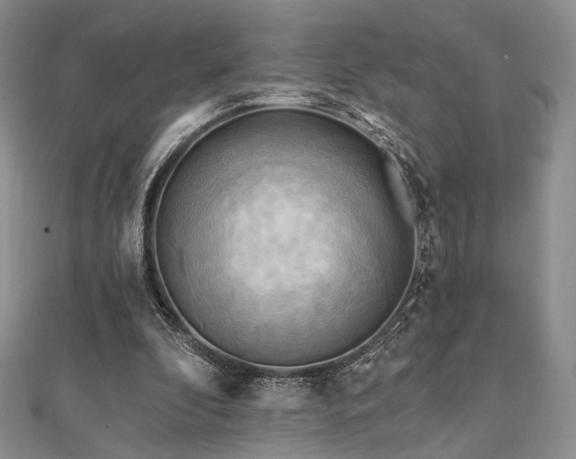 X0000112100296200908041517
