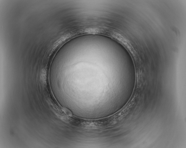 X0000112100297200908041517