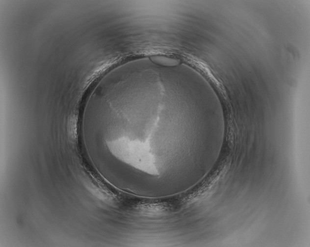 X0000112100299200908041516