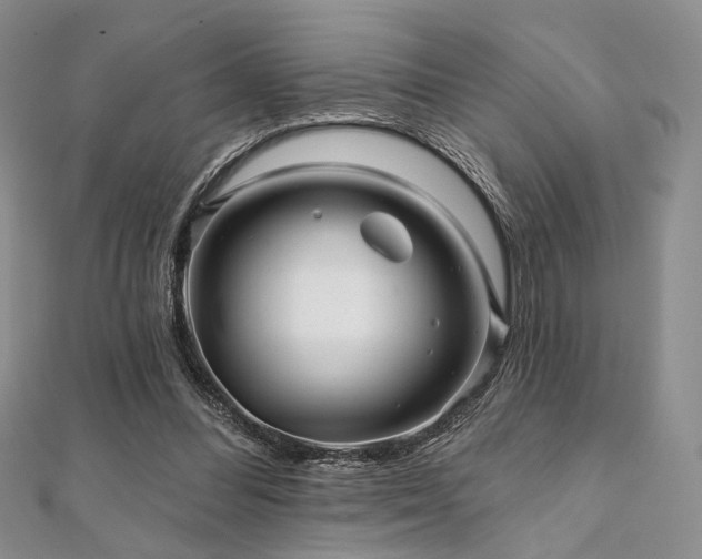 X0000112100300200908041516