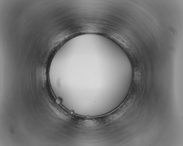 X0000112100302200908041516