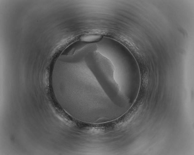 X0000112100303200908041516