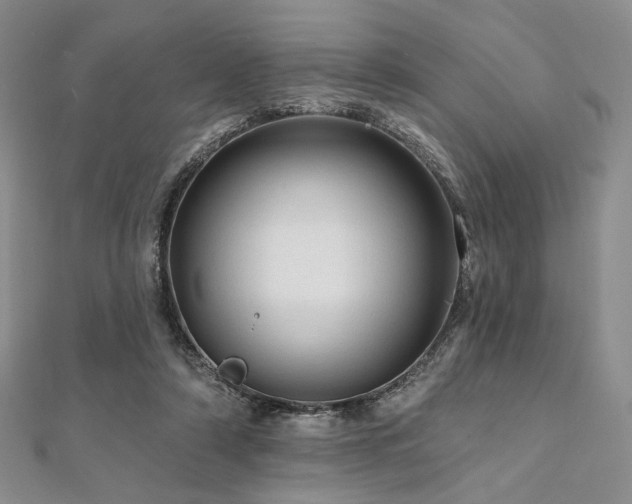 X0000112100306200908041516