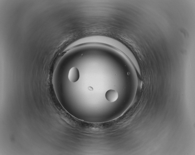 X0000112100308200908041516