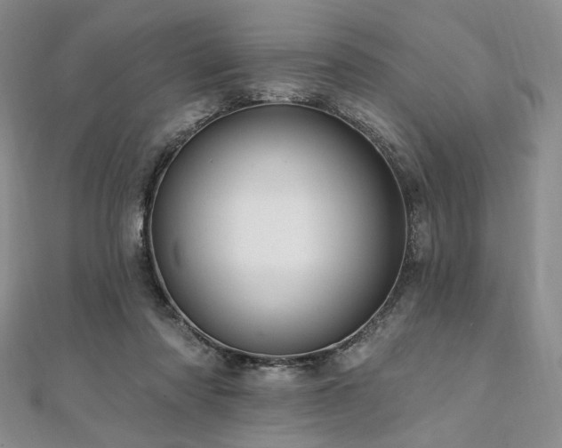 X0000112100310200908041516