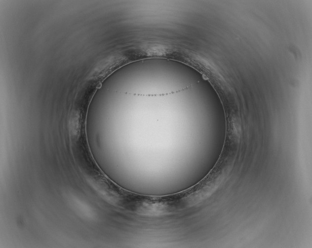 X0000112100311200908041516