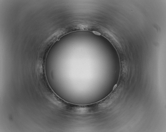 X0000112100313200908041516