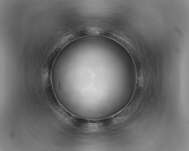 X0000112100314200908041516