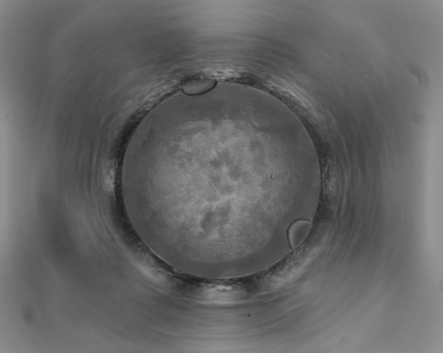 X0000112100315200908041516