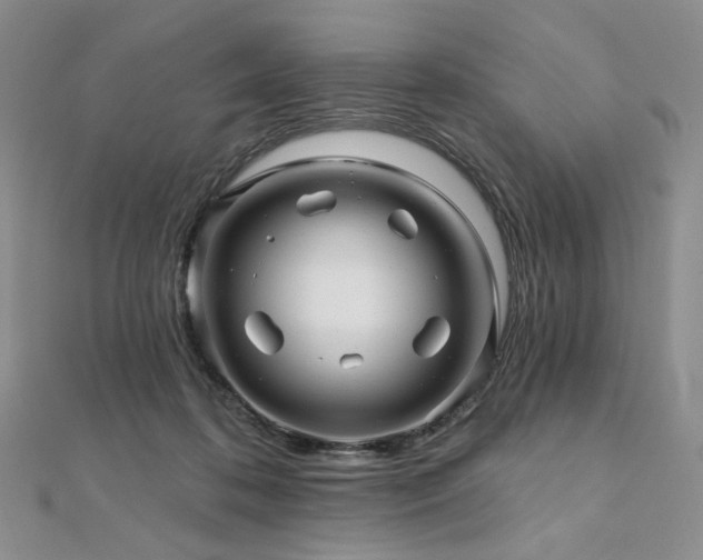 X0000112100316200908041516