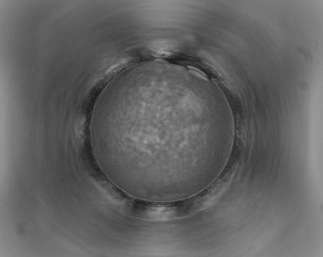 X0000112100319200908041516