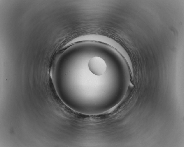 X0000112100320200908041516