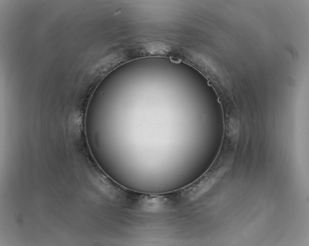 X0000112100321200908041516
