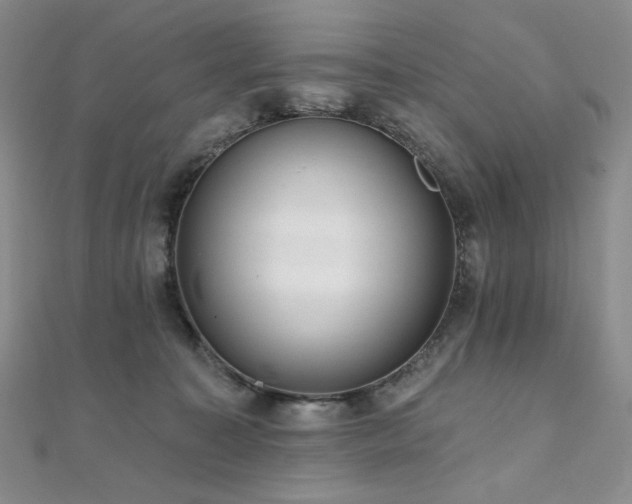 X0000112100323200908041516