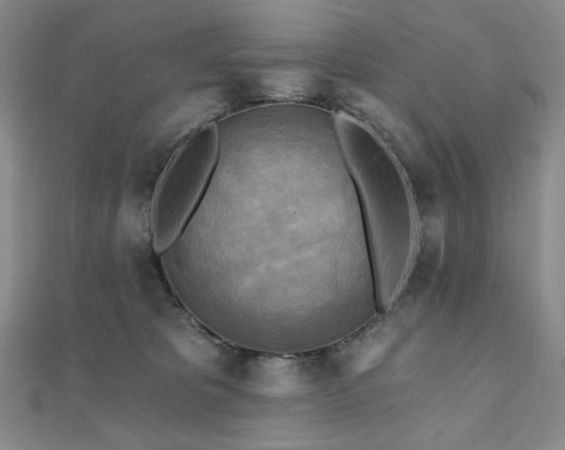 X0000112100325200908041516