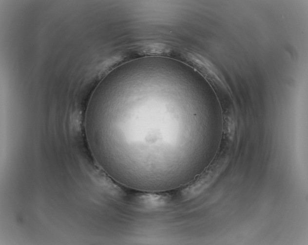 X0000112100326200908041516
