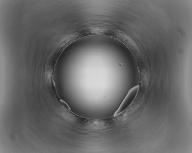 X0000112100329200908041516
