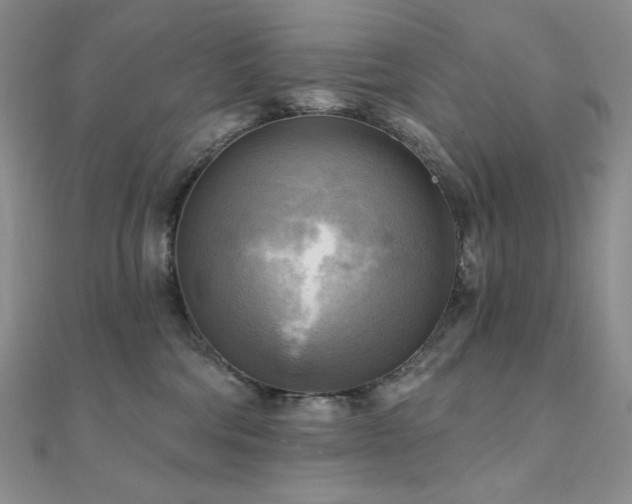 X0000112100330200908041516