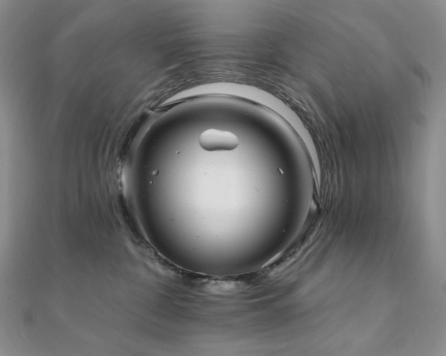 X0000112100332200908041516