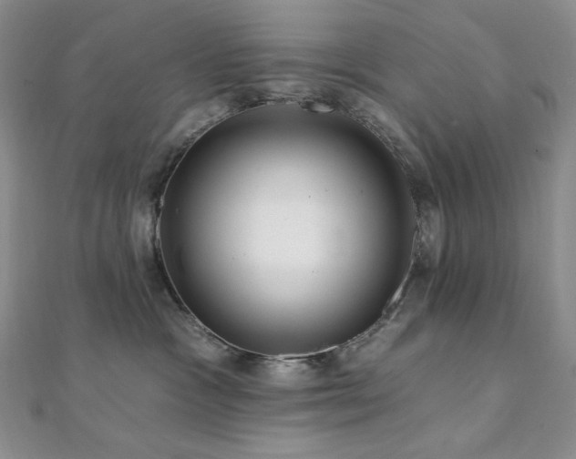 X0000112100333200908041516