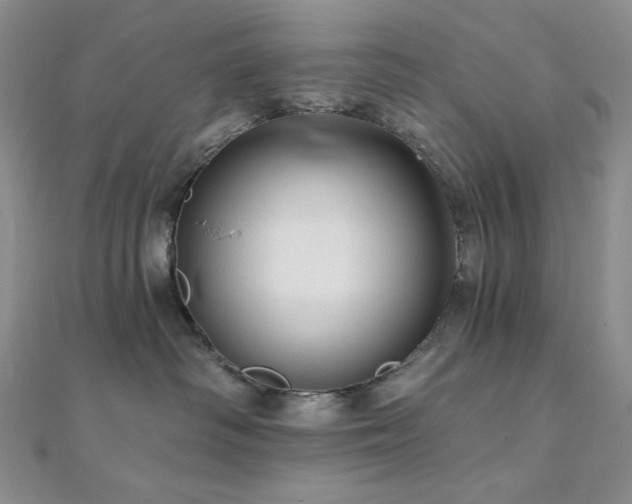X0000112100334200908041516