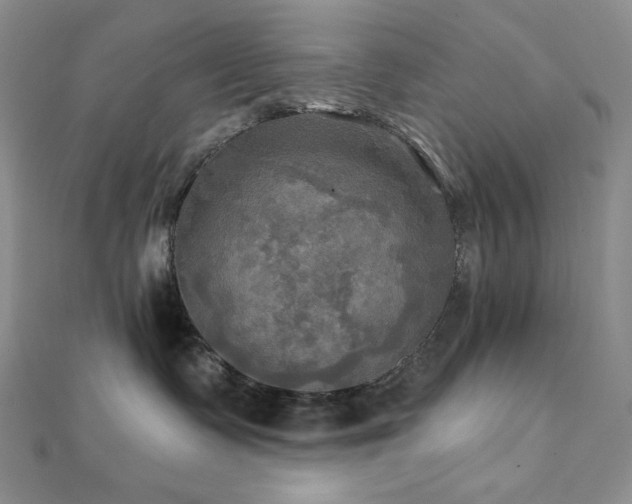 X0000112100335200908041516