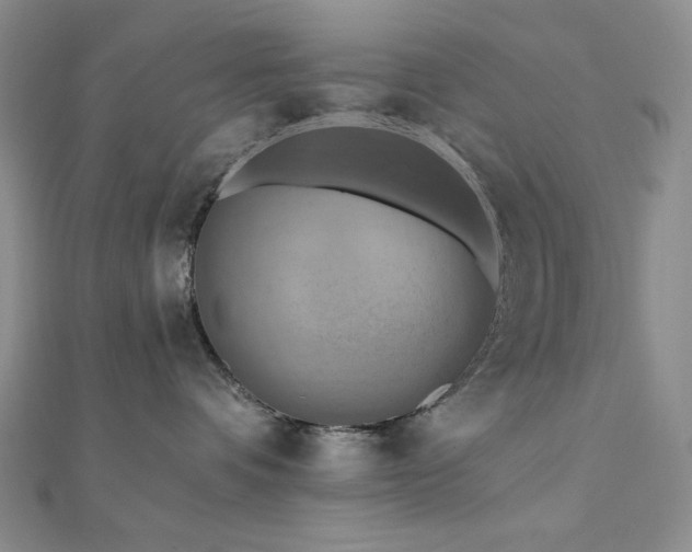 X0000112100336200908041516