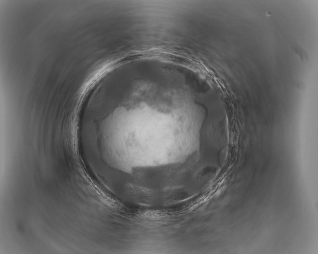X0000112100341200908041515
