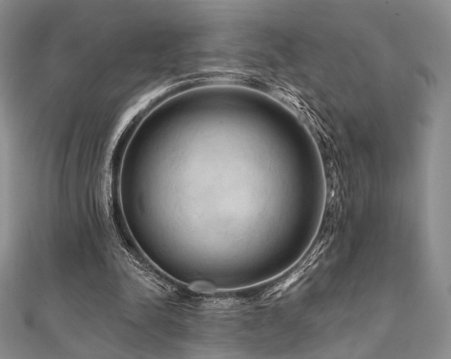X0000112100342200908041515