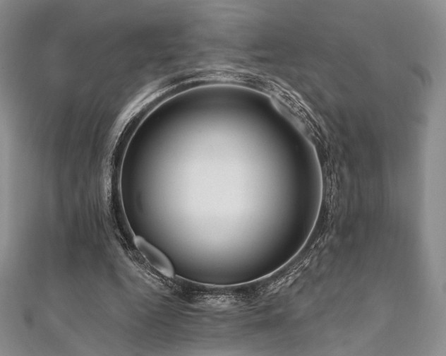 X0000112100344200908041515