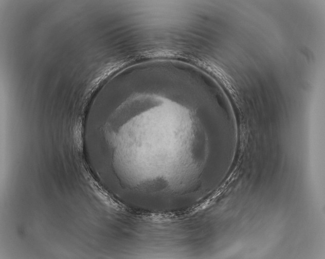 X0000112100345200908041516