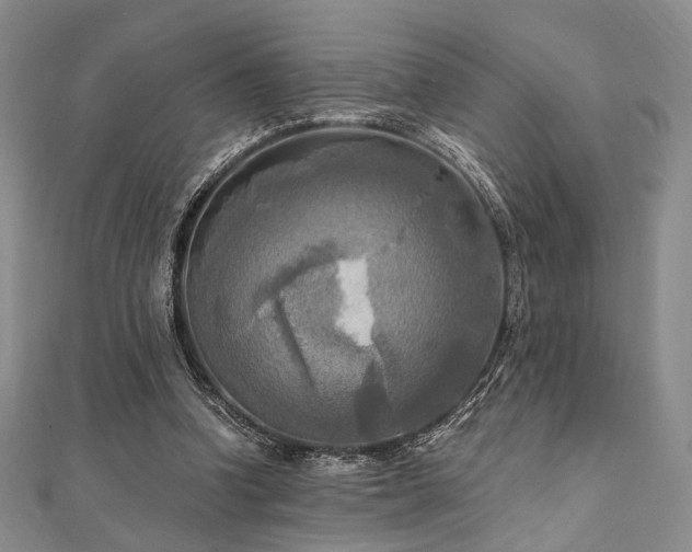 X0000112100346200908041516