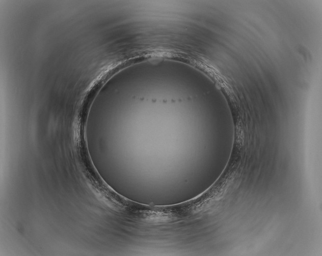 X0000112100347200908041516