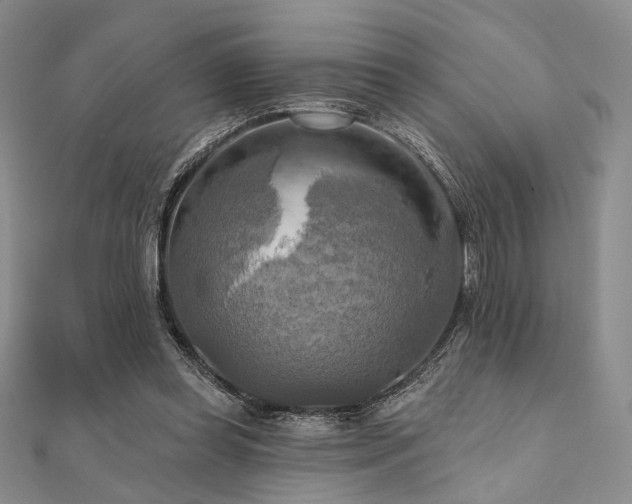 X0000112100349200908041516